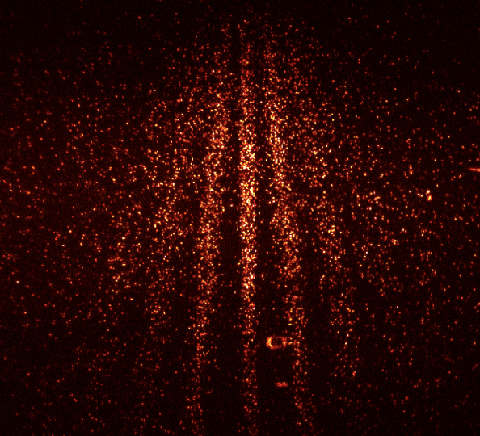 Orange fluorescent dots from individual dye molecules on a dark field, gathering into vertical stripes.