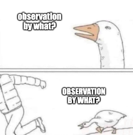 The “sneaky snek” meme: a goose asks “observation by what?”, then chases a fleeing person while honking “OBSERVATION BY WHAT?”