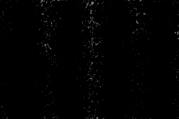 A black field scattered with white dots from individual electrons, clustering into vertical bands.