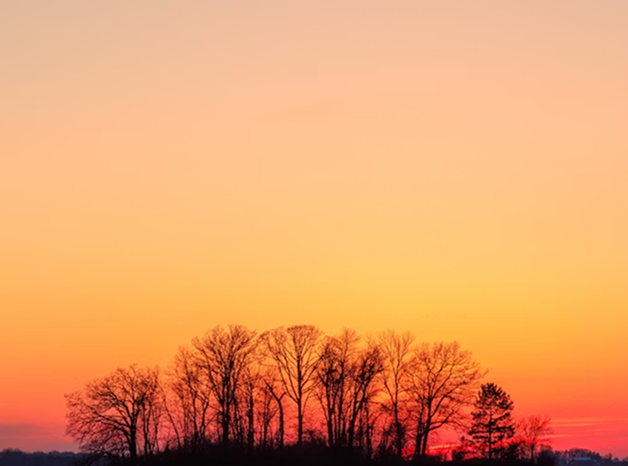 Reference image of a sunset red sky